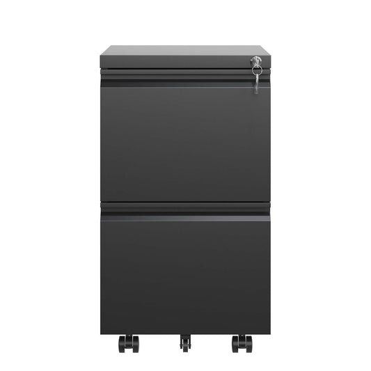 VIYET 2-Drawer Mobile Metal File Cabinet with Lock, Rolling Office Storage for Letter, Legal & A4 Hanging Files, Fully Assembled Except Wheels